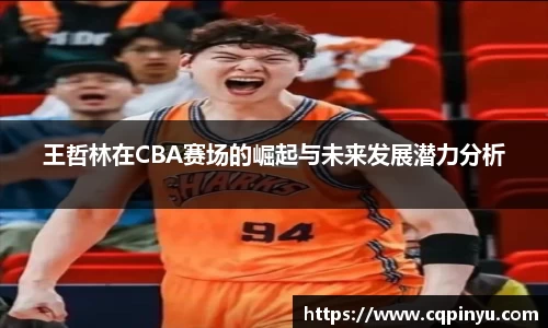 王哲林在CBA赛场的崛起与未来发展潜力分析